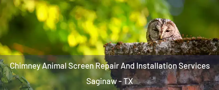  Chimney Animal Screen Repair And Installation Services Saginaw - TX