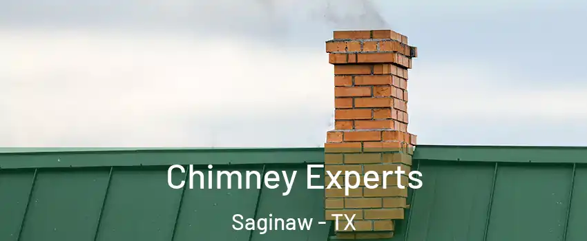 Chimney Experts Saginaw - TX