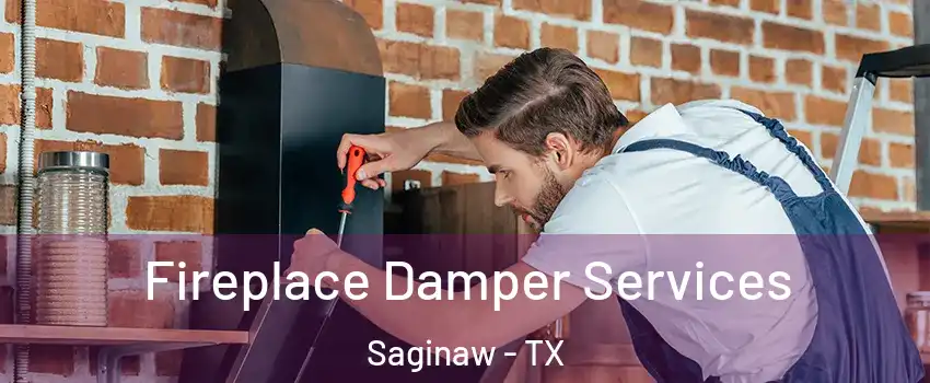  Fireplace Damper Services Saginaw - TX