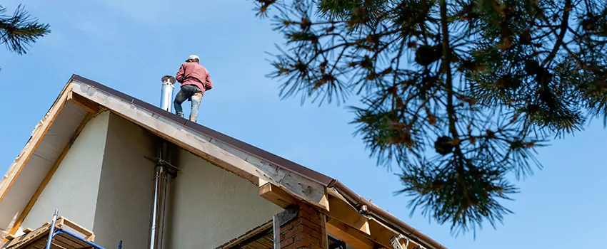 Birds Removal Contractors from Chimney in Saginaw, TX