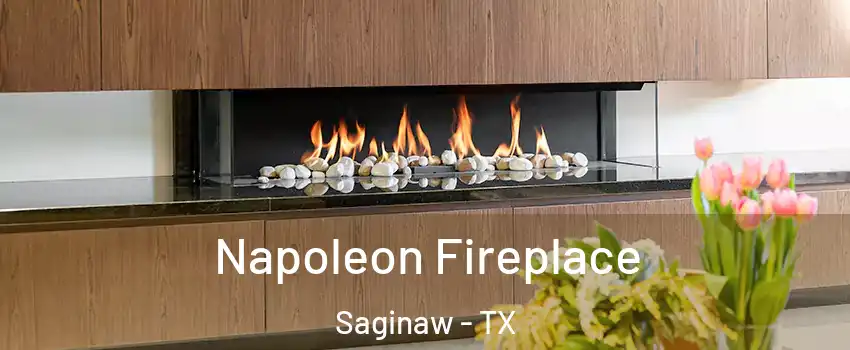  Napoleon Fireplace Saginaw - TX