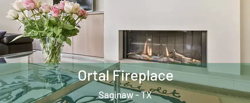 Ortal Fireplace Saginaw - TX